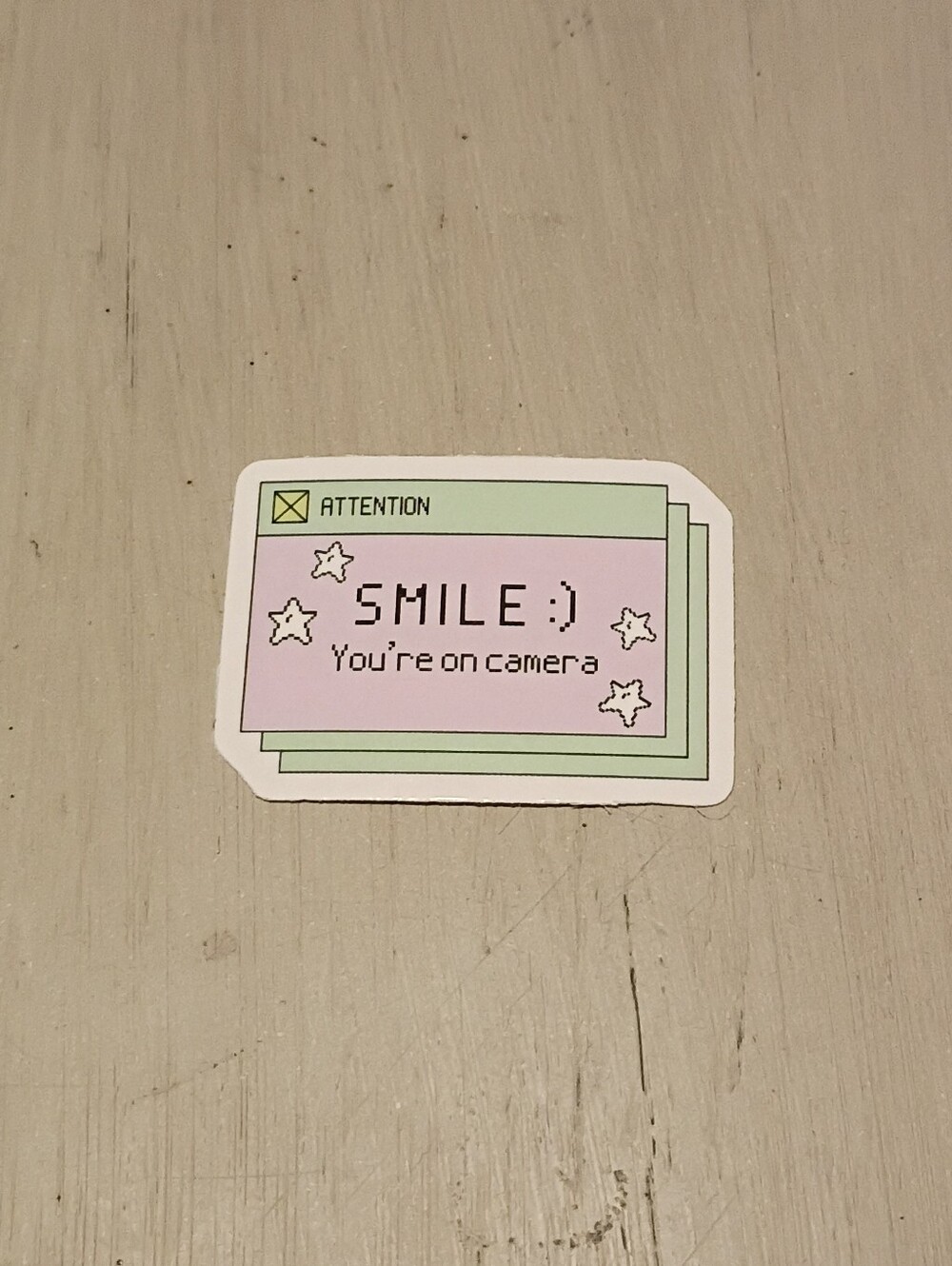 10/$10 Sticker Decal - Attention Smile :) You're On Camera Pink & Green - New